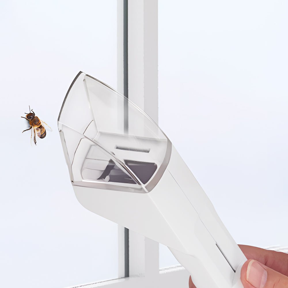 透明抓蟲工具|看到蟲也不怕.輕鬆夾住又不傷生靈