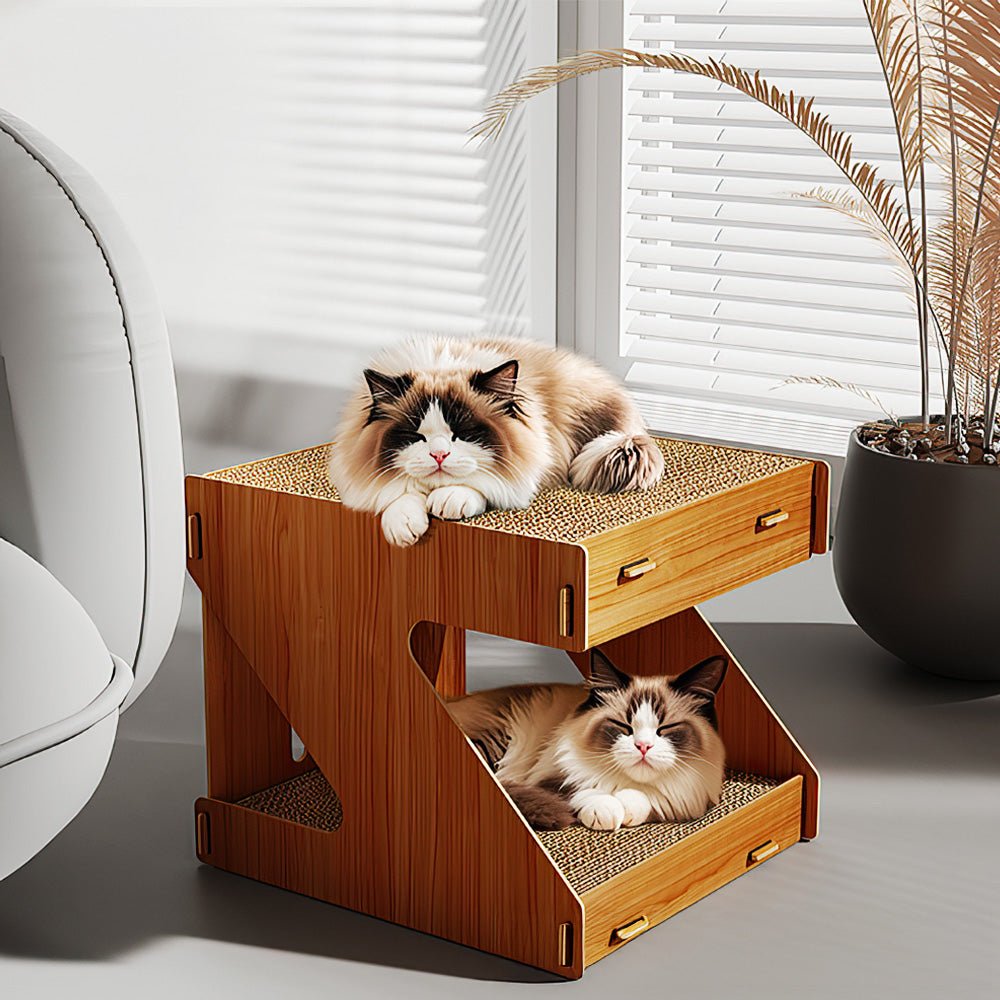 雙層貓抓屋|上下可窩可抓,兩隻貓也不搶位置