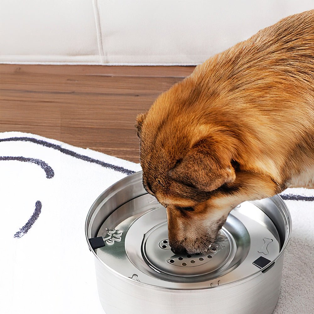 304不鏽鋼漂浮水碗|不濺水、不嗆水.毛孩安心喝