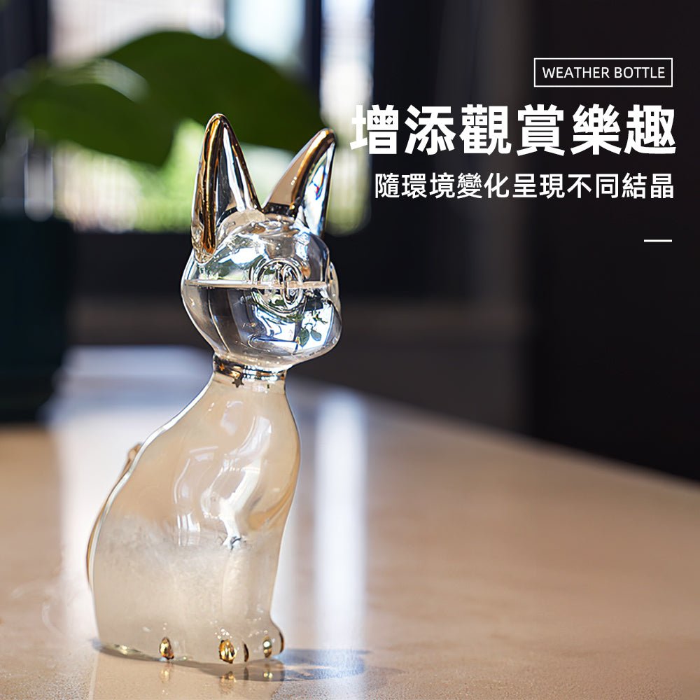 安德森貓天氣瓶|解讀氣象的小擺件 |上手家居
