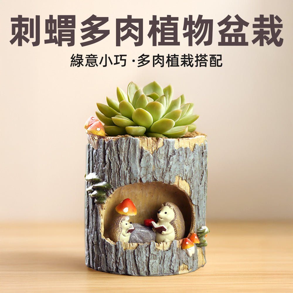 刺蝟造型多肉植物盆栽|療癒桌面小植栽・手工森林風綠意點綴