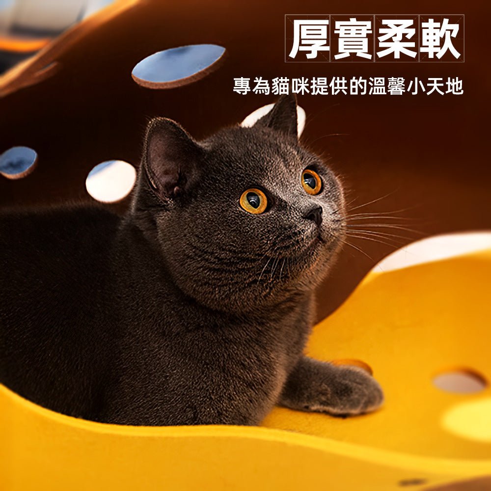 可變形貓隧道|多功能貓窩・隧道玩具,滿足毛孩需求 |上手家居