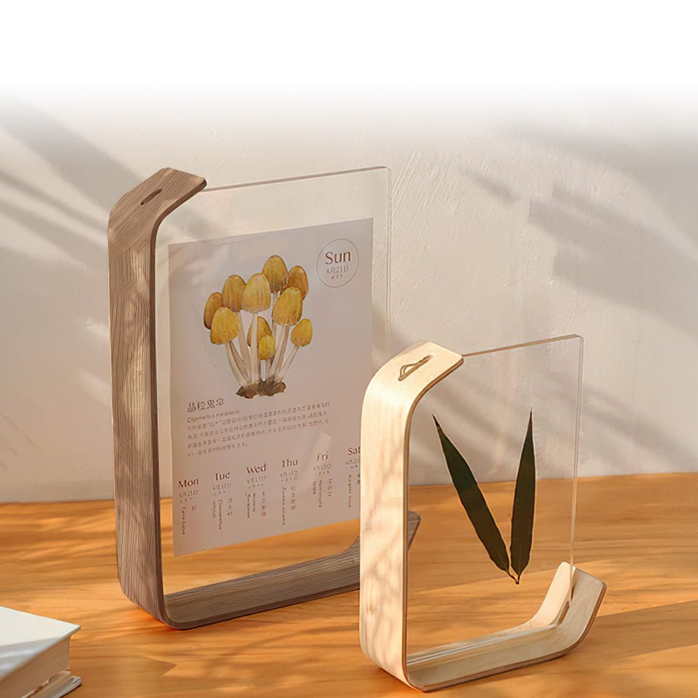 L型中空相框 擺放照片與標本展示|上手家居