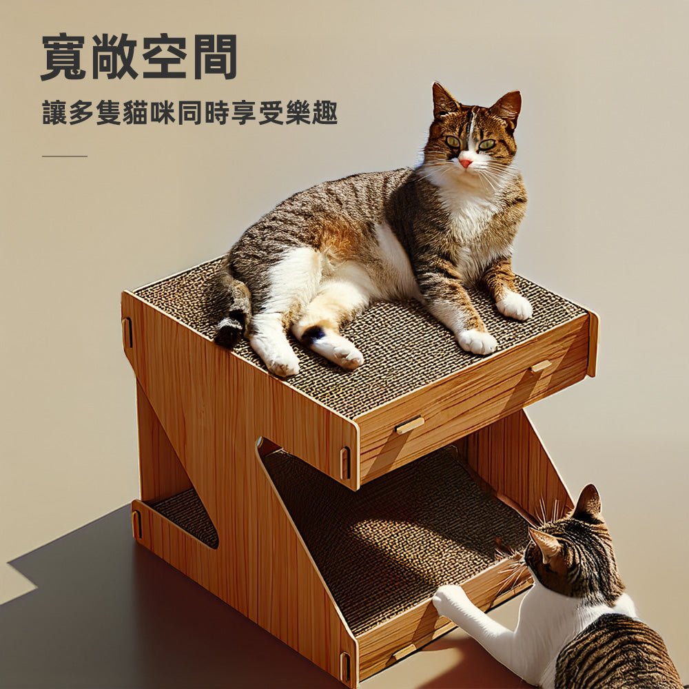 雙層貓抓屋｜上下可窩可抓，兩隻貓也不搶位置